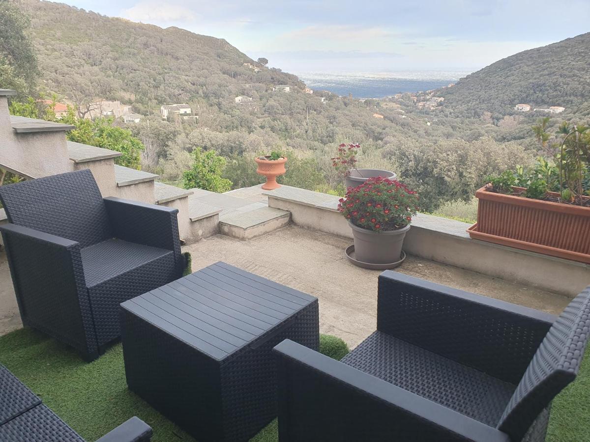 Cap Corse Uribellinu 1, Petit Dejeuner Partine Экстерьер фото